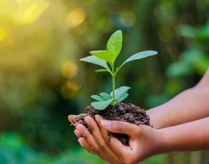 برامج التوعية